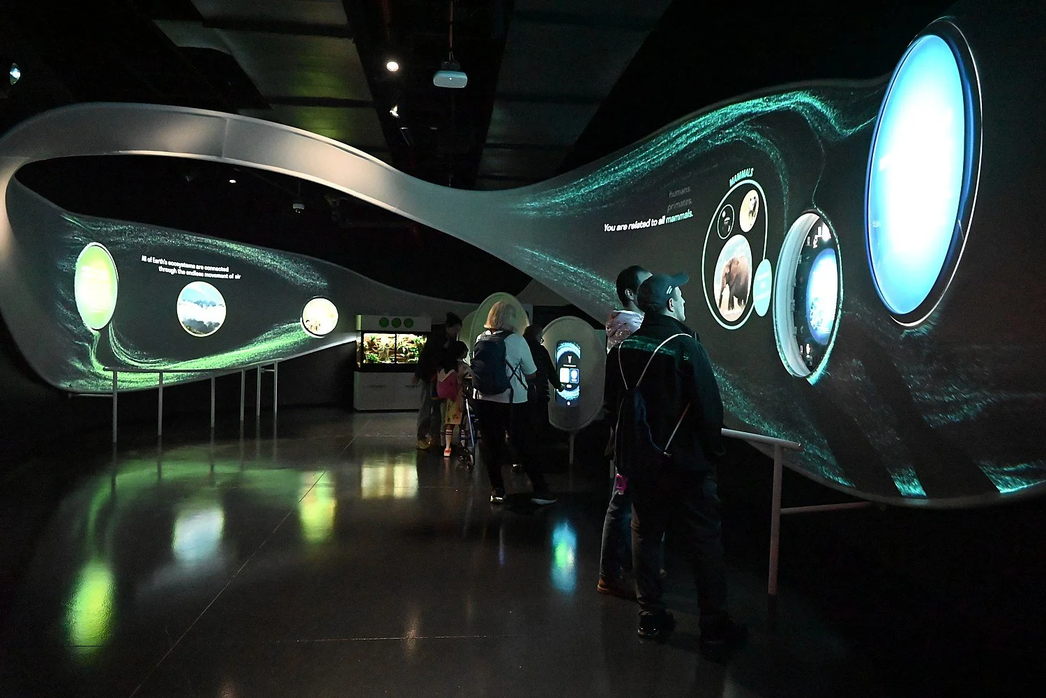 Exhibit at a science museum with a curved digital display about Earth's ecosystems and animal classification. Several visitors are observing and engaging with the interactive displays.
