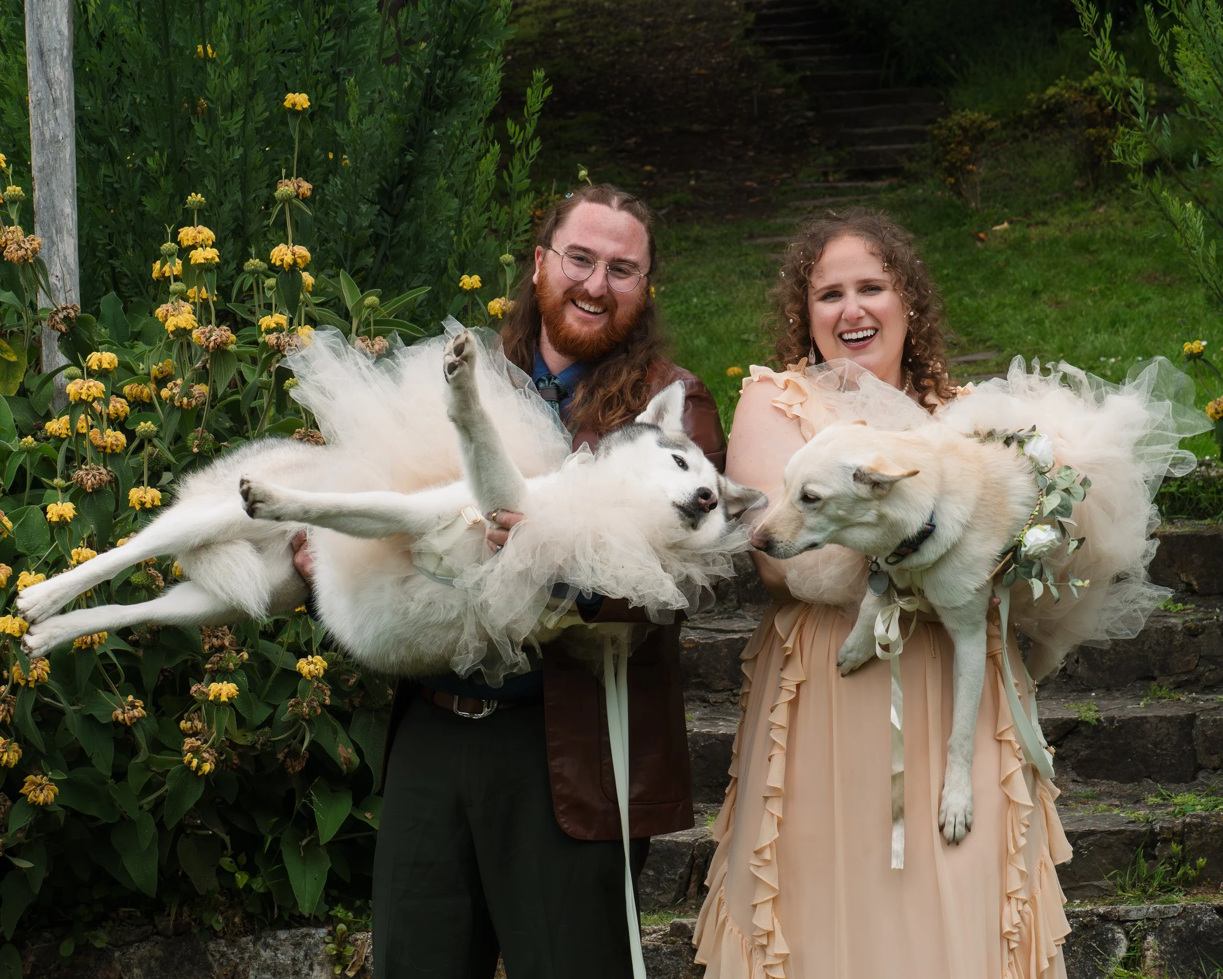 A happy couple outdoors surrounded by greenery, holding white Huskies dressed in tutus, with a garden and steps in the background.