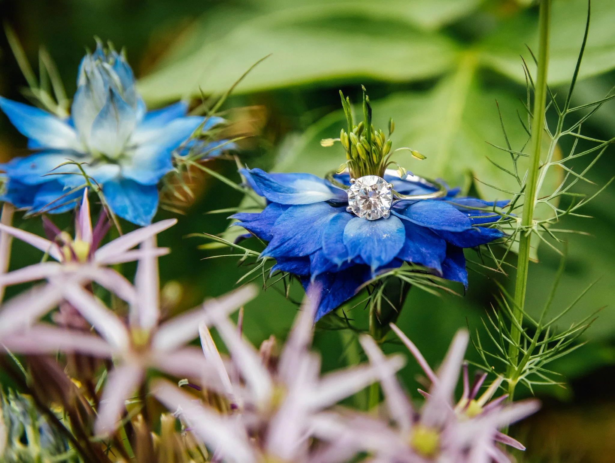 Washington DC Engagement Photoshoot Garden Ring