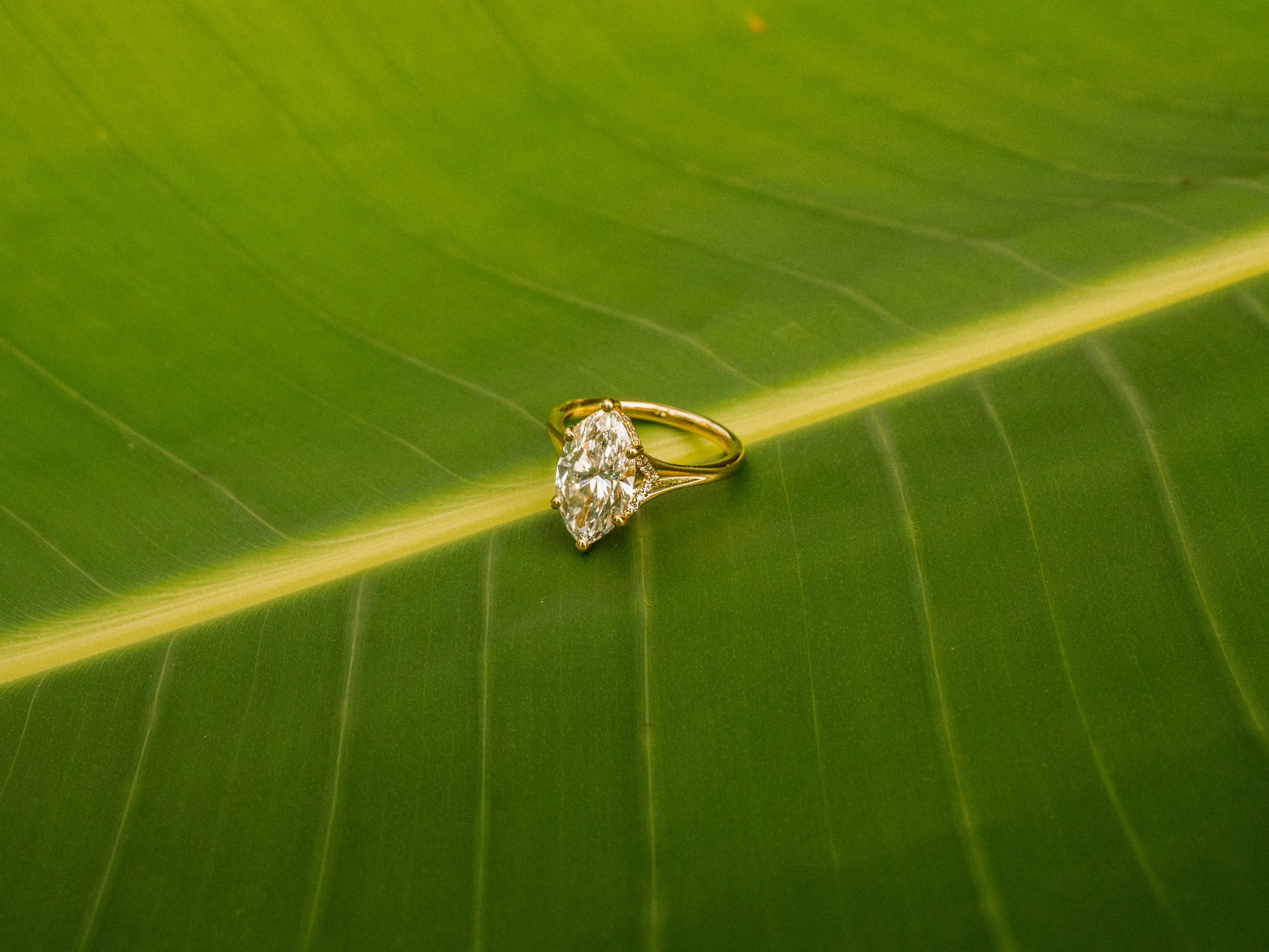 2026 Sep_Kaithleen Eugene Engagement-8.jpg
