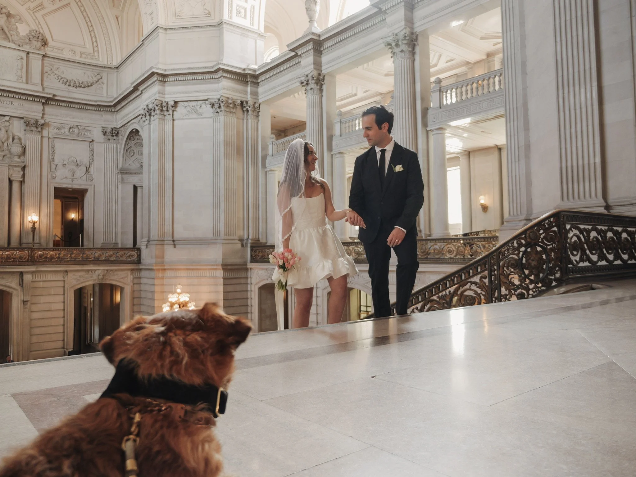 A wedding scene inside San Francisco City Hall with tall columns and detailed architecture. A bride and groom hold hands on a staircase, smiling at each other. A dog in the foreground watches them.