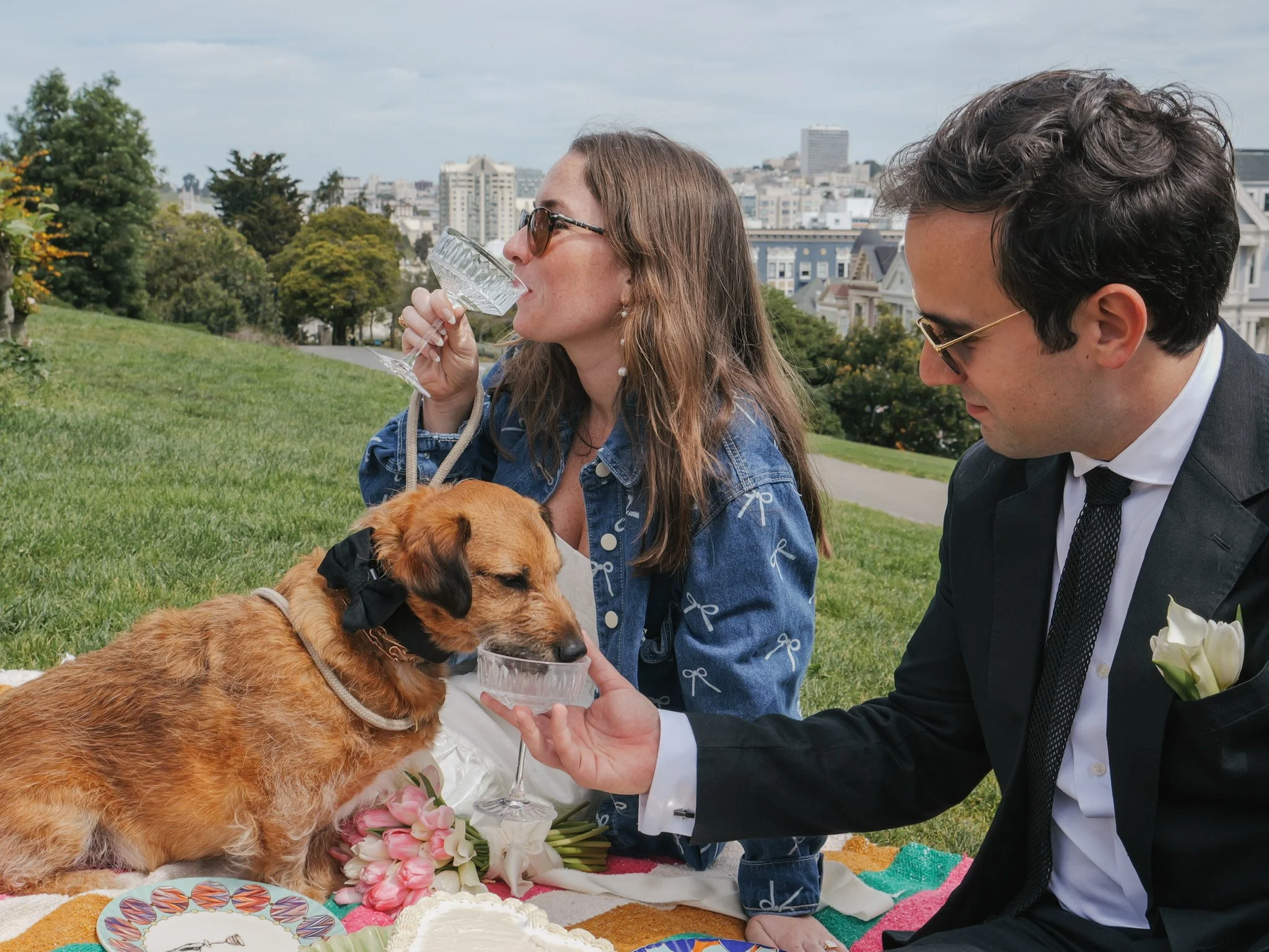 People celebrating a wedding outdoors with a dog and food, cityscape visible in the background.