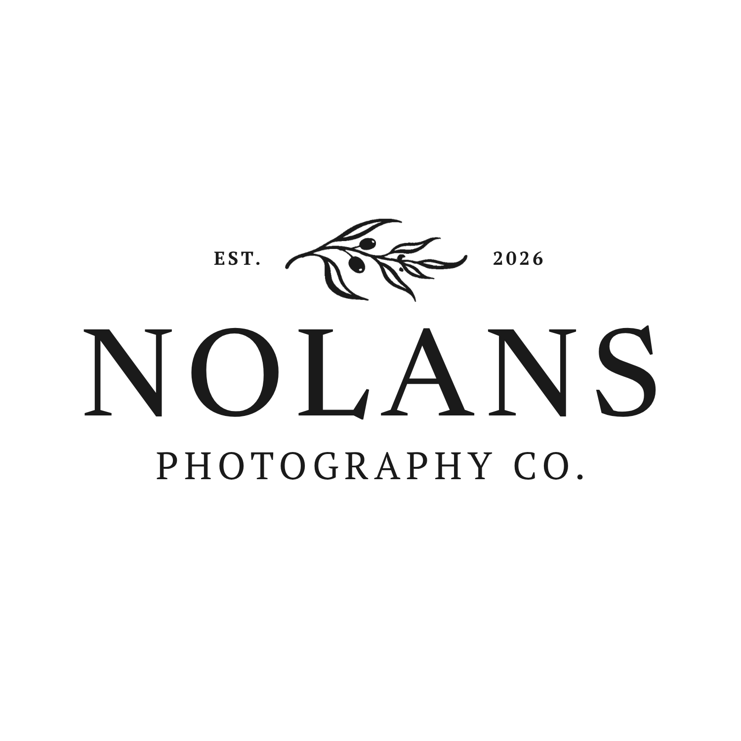 NolansPhotography