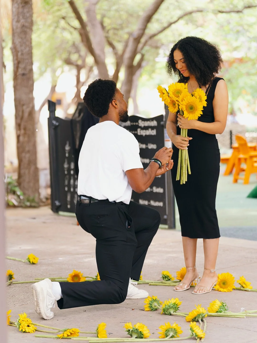 A man proposing marriage to a woman in an outdoor park decorated with yellow sunflowers. The man is kneeling on one knee, holding the woman's hand, while she holds a bouquet of yellow sunflowers and smiles.