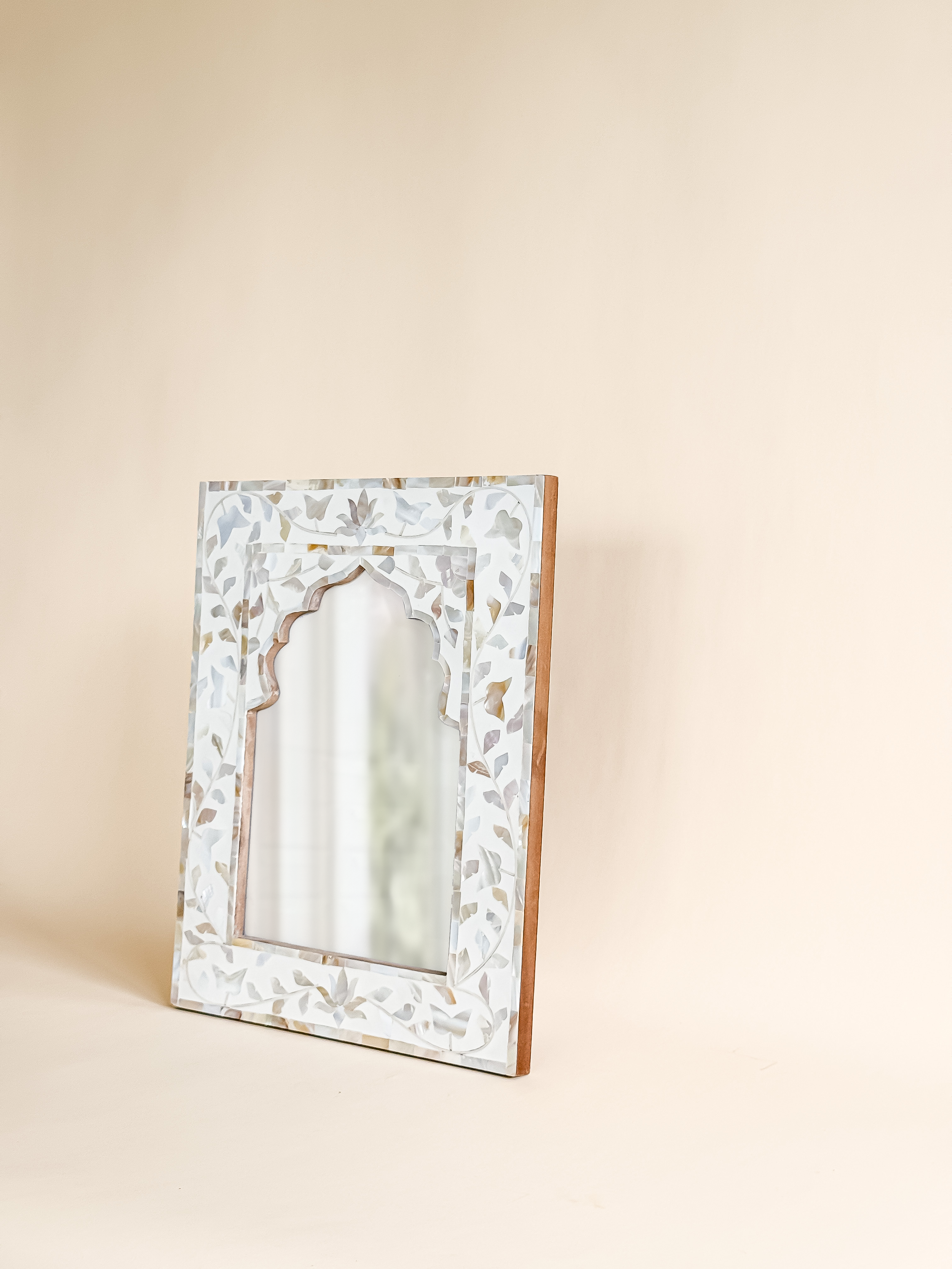 Bagh Wall Frame
