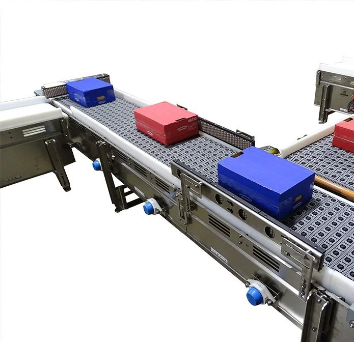 Activated roller belt sortation conveyor diverting blue and red cases to separate lanes