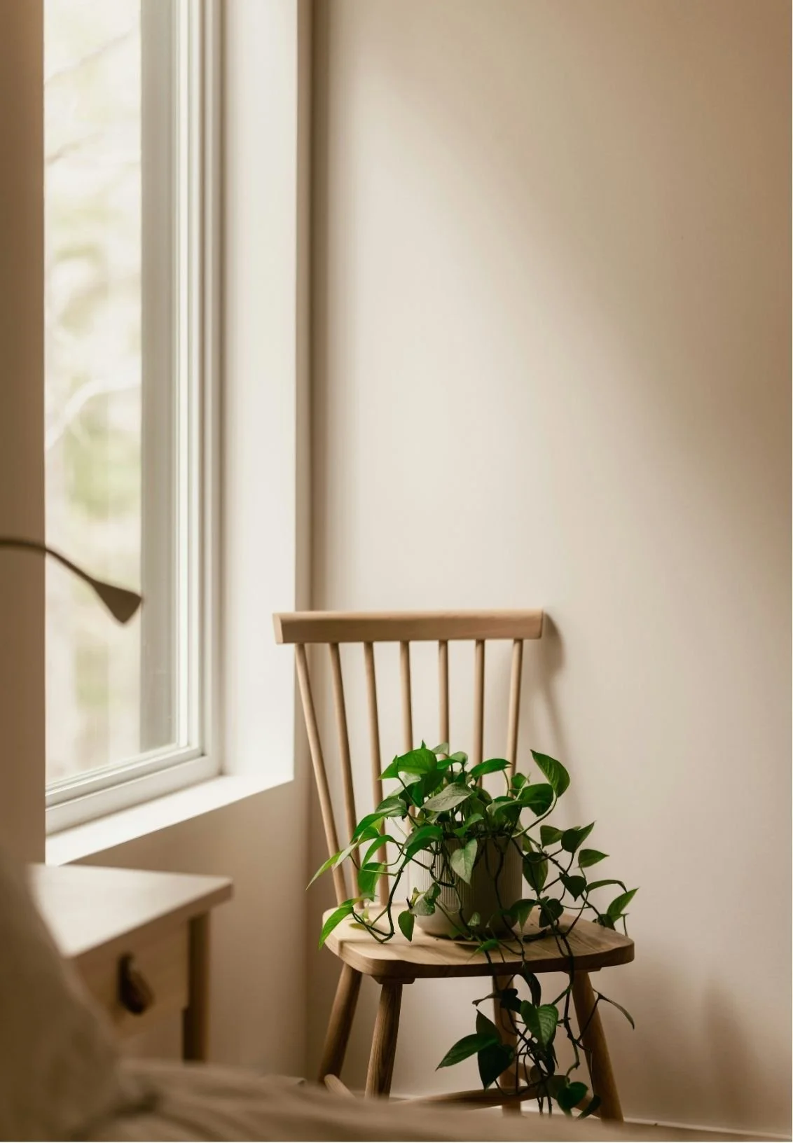 A wooden chair with a potted green plant on the seat, placed near a window with sunlight filtering through.
