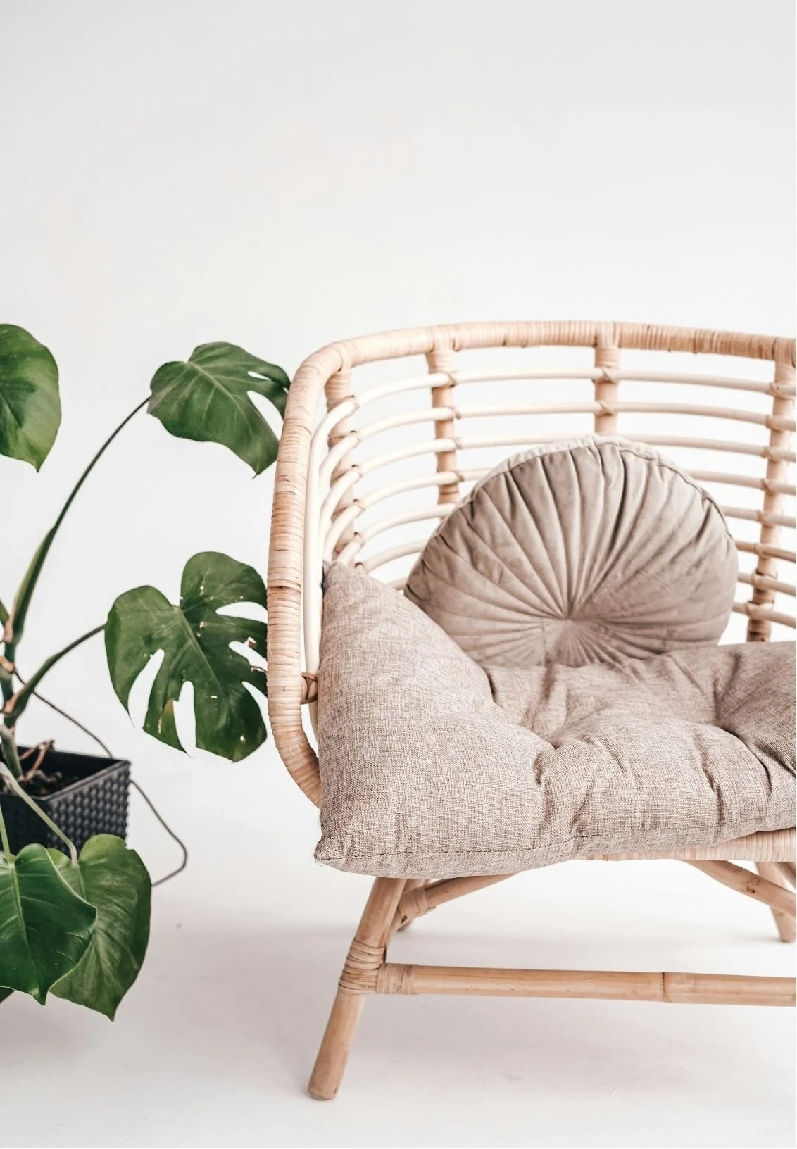 A beige cushioned rattan chair with a round pillow, next to a large green plant with monstera leaves, against a plain white background.