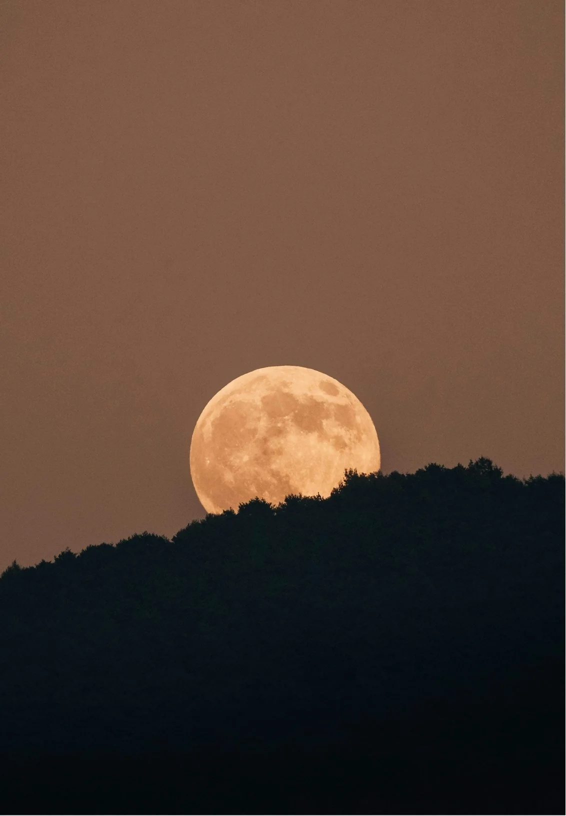 Full moon rising above a dark silhouette of trees at night.