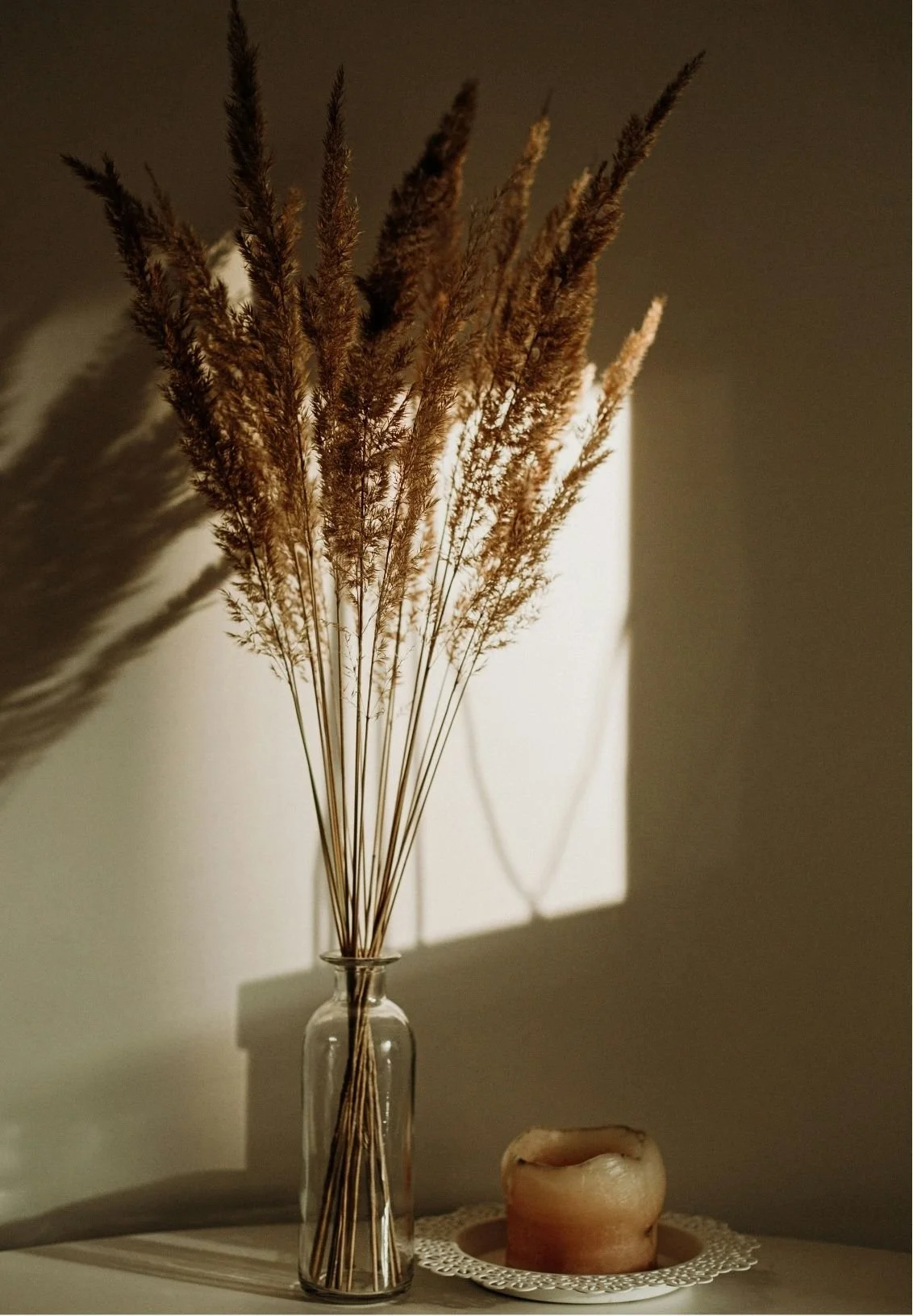 A clear glass vase holding dried brown and beige grasses, casting a shadow on a white wall. Next to it, a round beige candle with a marbled texture sits on a doily.