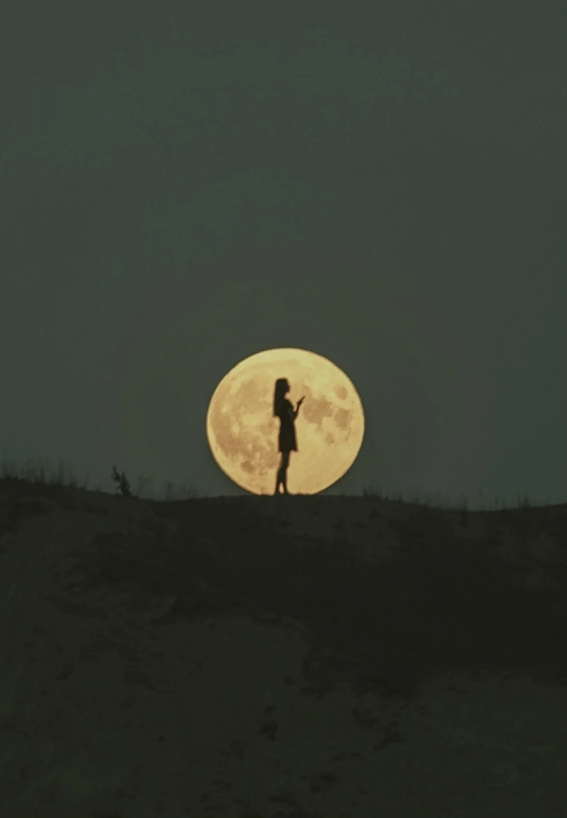 Silhouette of a woman standing on a hill with the full moon behind her, creating a striking contrast, set against a dark sky.
