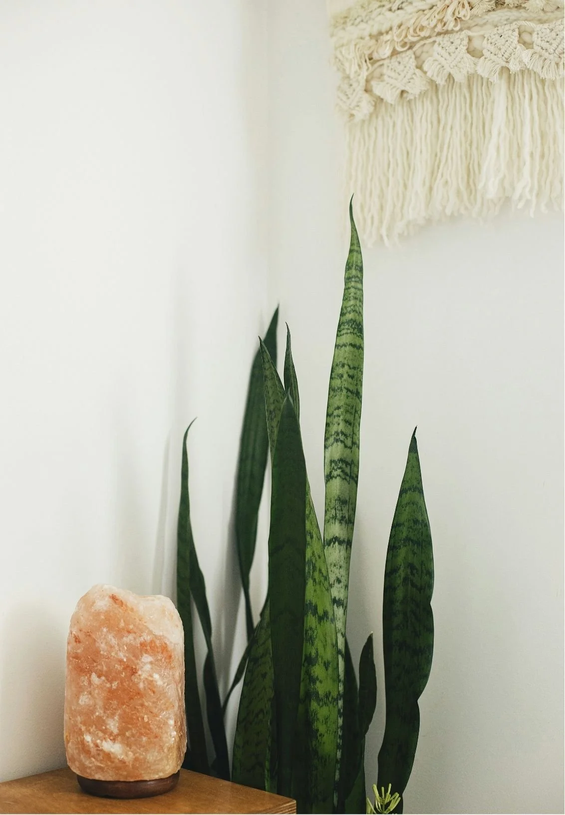 A salt lamp on a wooden surface next to a snake plant with long, green, striped leaves, and a beige wall with a textured woven wall hanging.