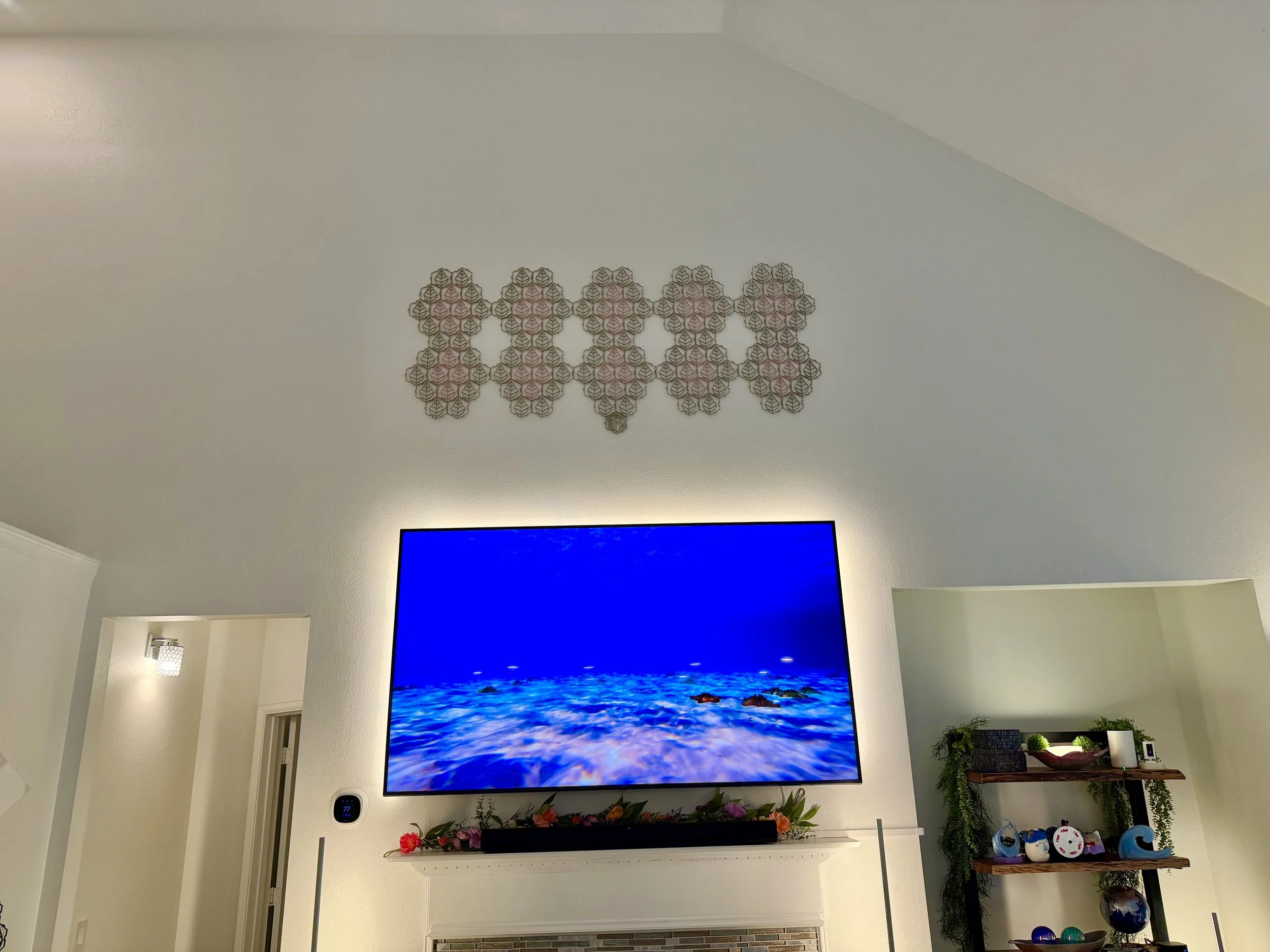 Living room wall with a large flat screen TV displaying an ocean scene. Above the TV, there's a decorative wall art made of connected hexagon shapes with a floral pattern. To the right, there's a wooden shelf with potted plants and decor items.