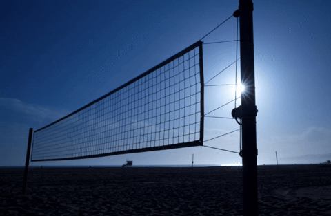 gif (9).gif