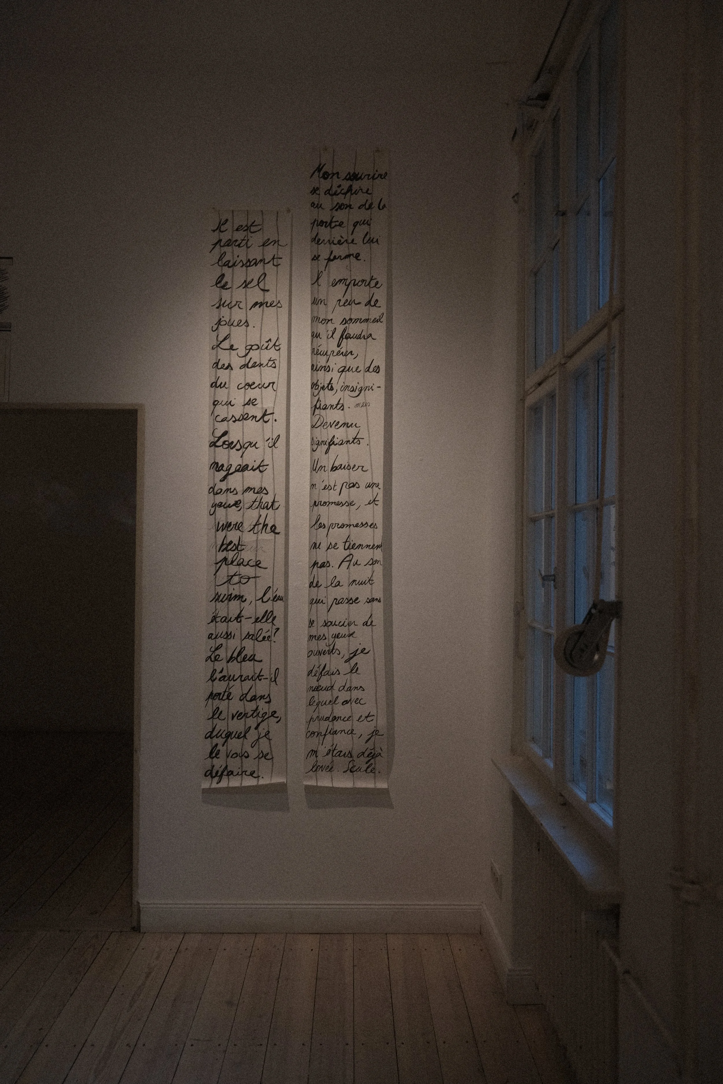 DSCF0196.JPG