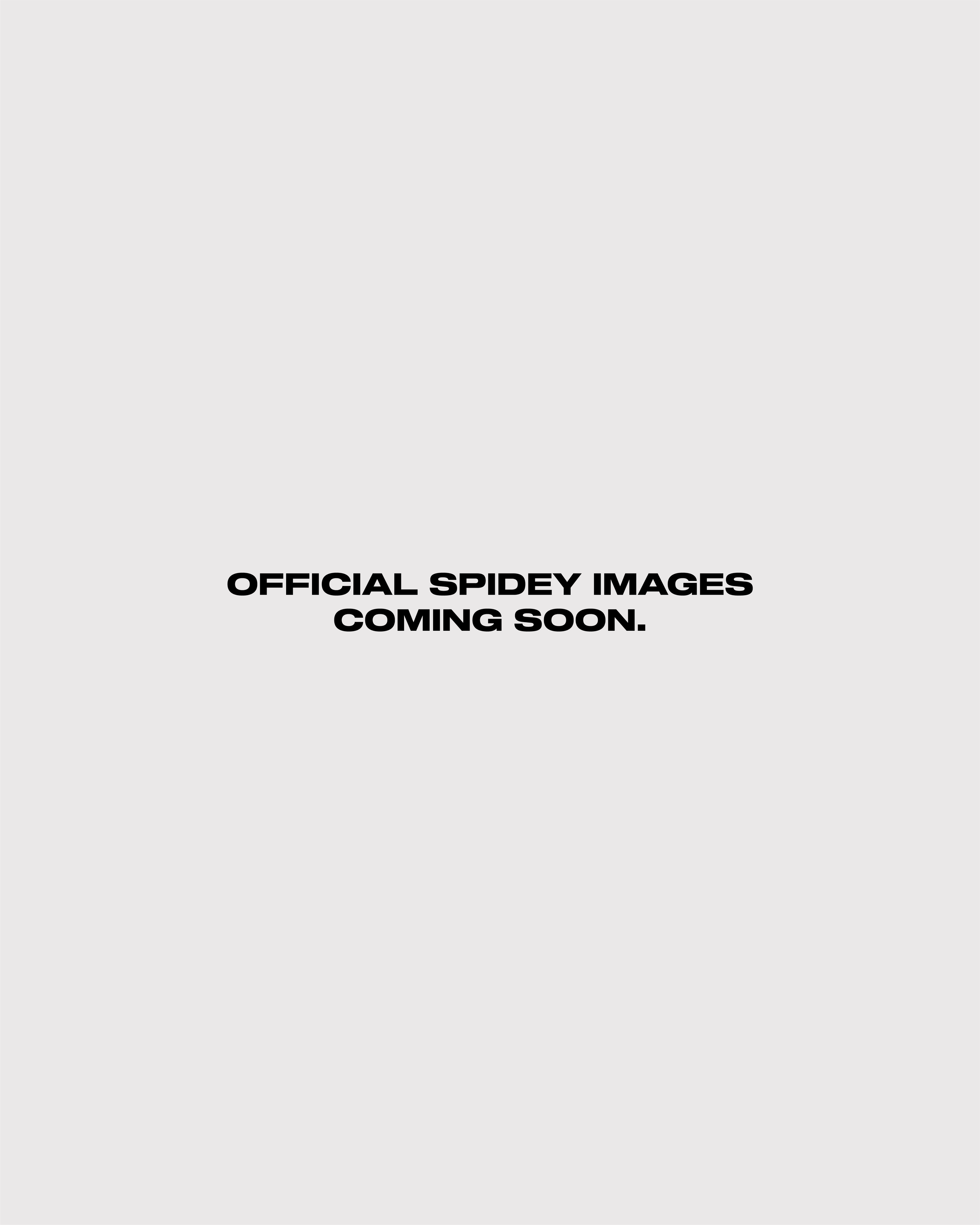 website.png