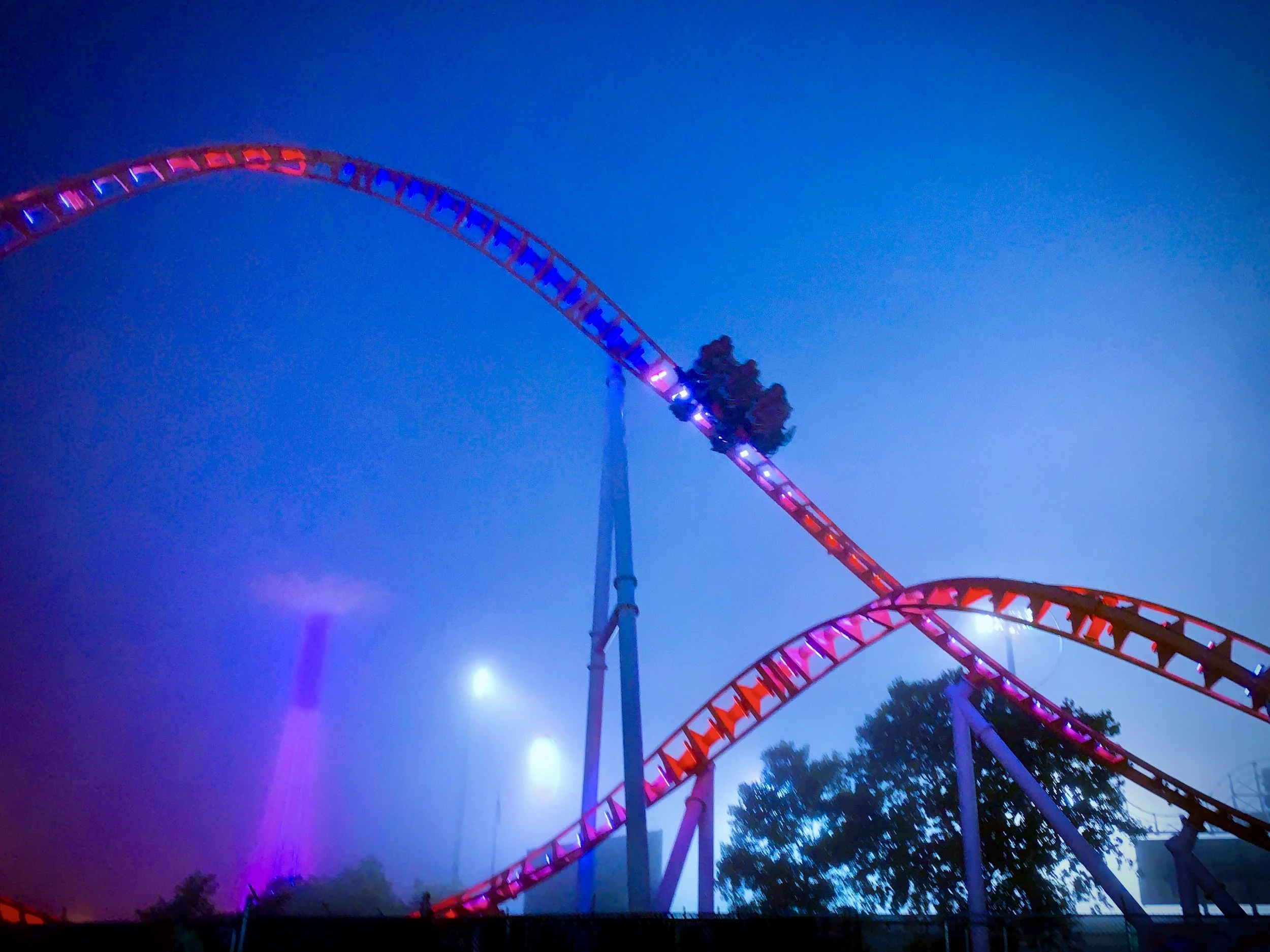 Into the Fog