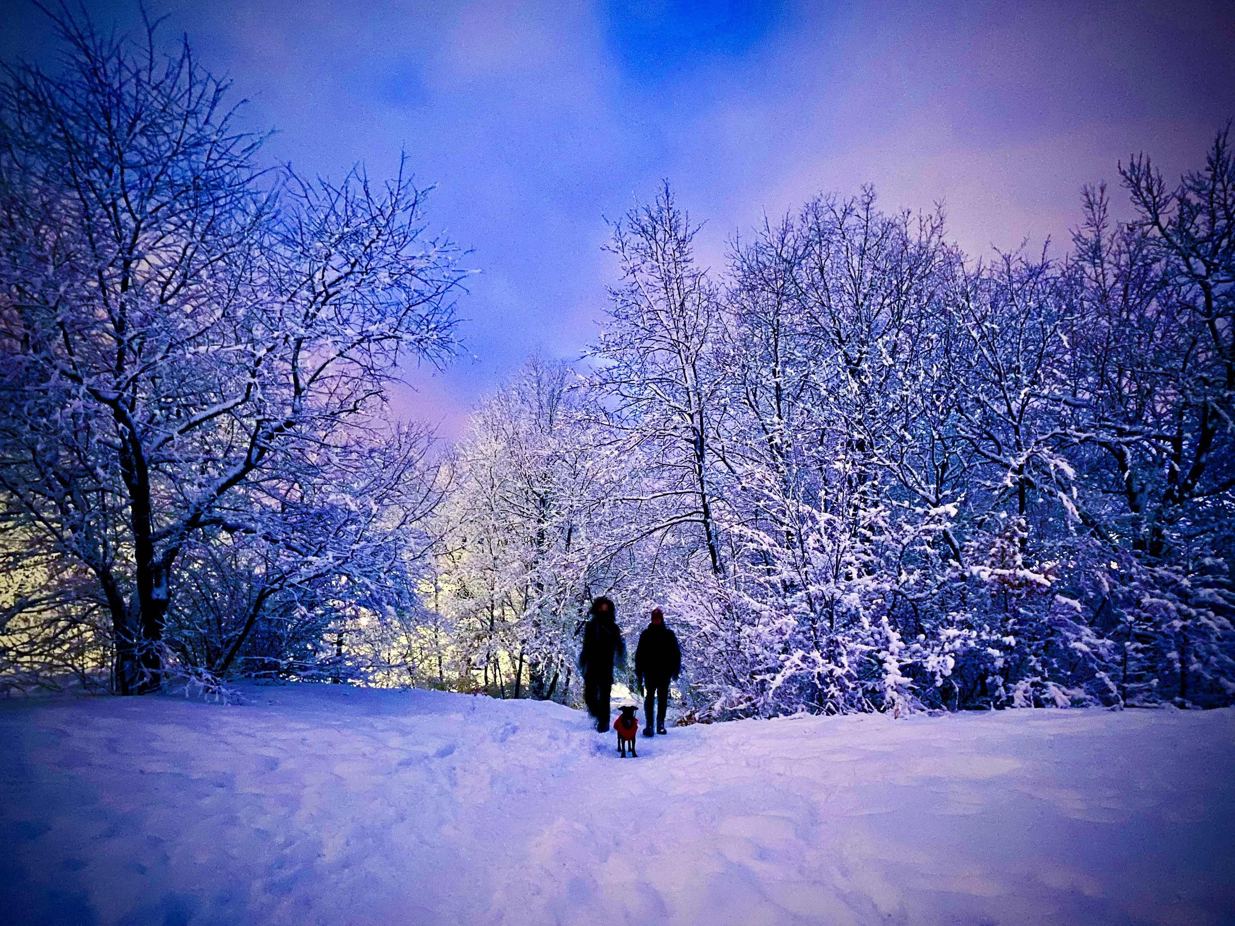 Twilight Path