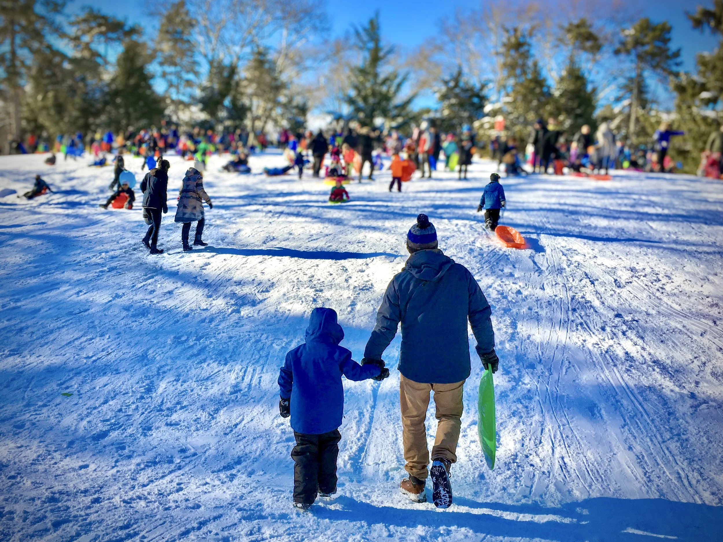 Snow Day