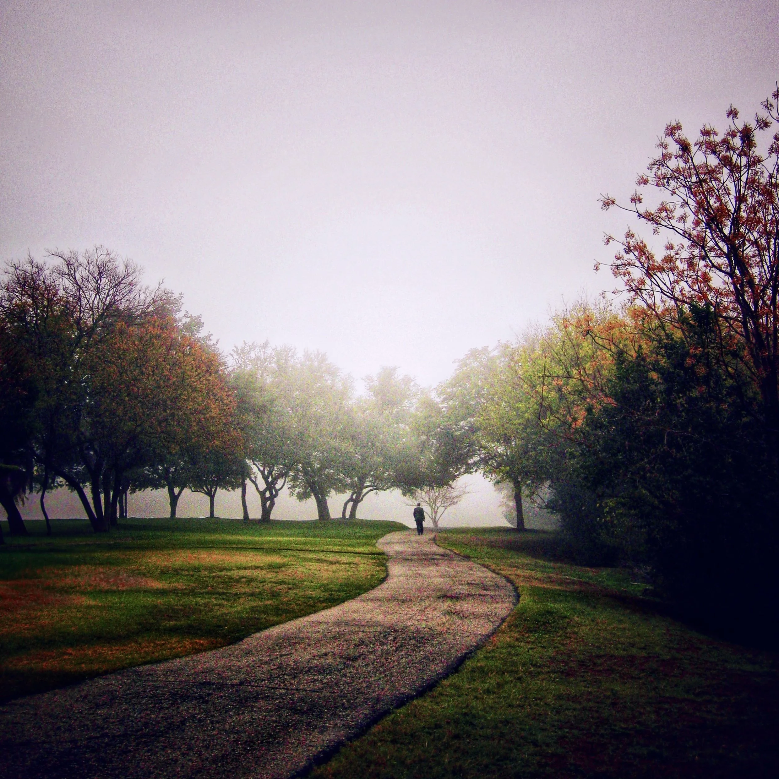 Into the Fog