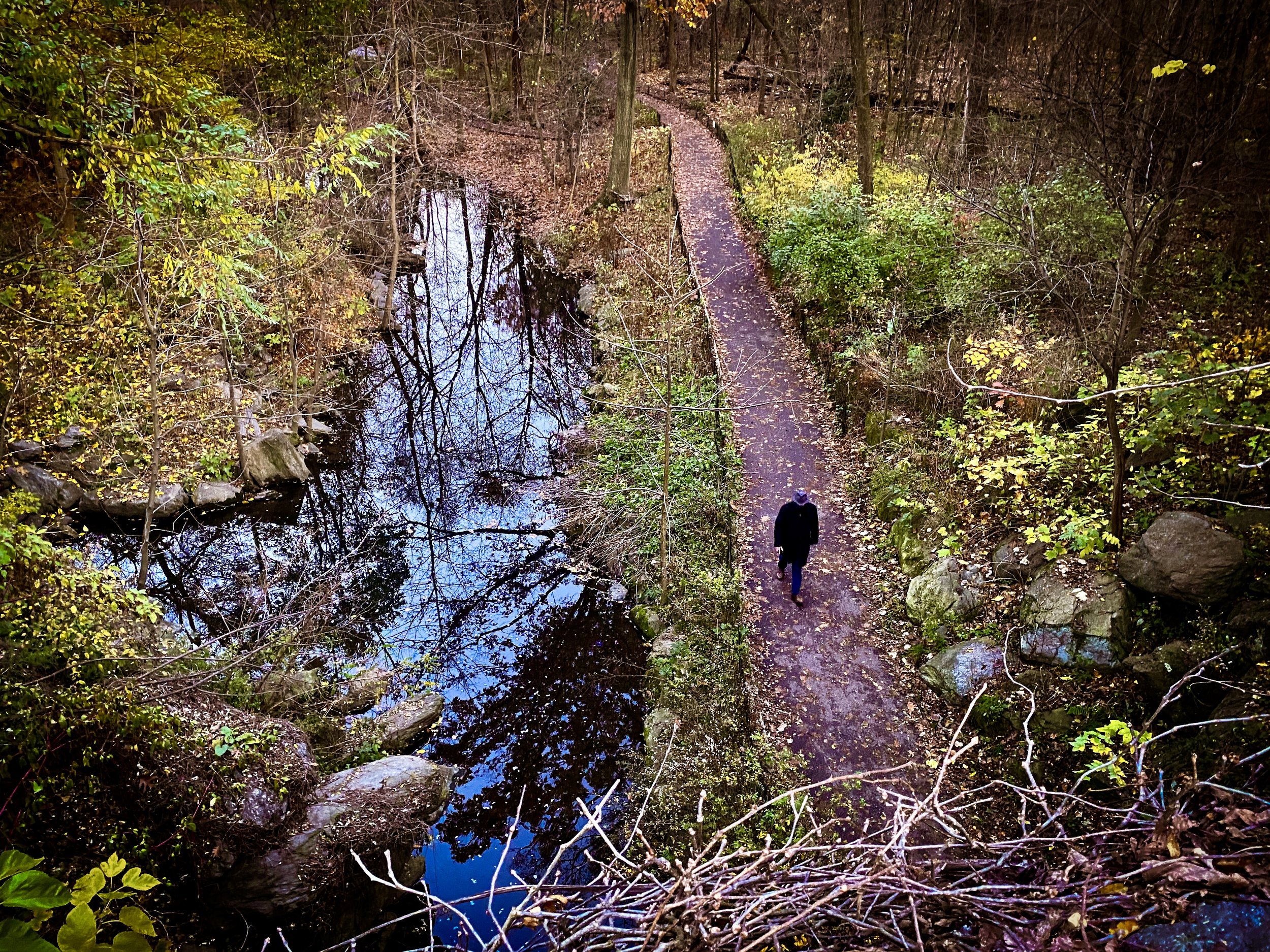 Path of Reflection
