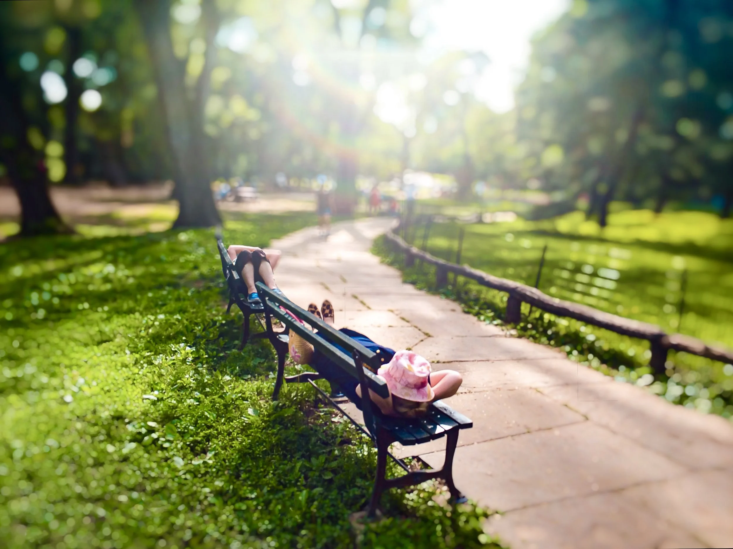 The Long Afternoon