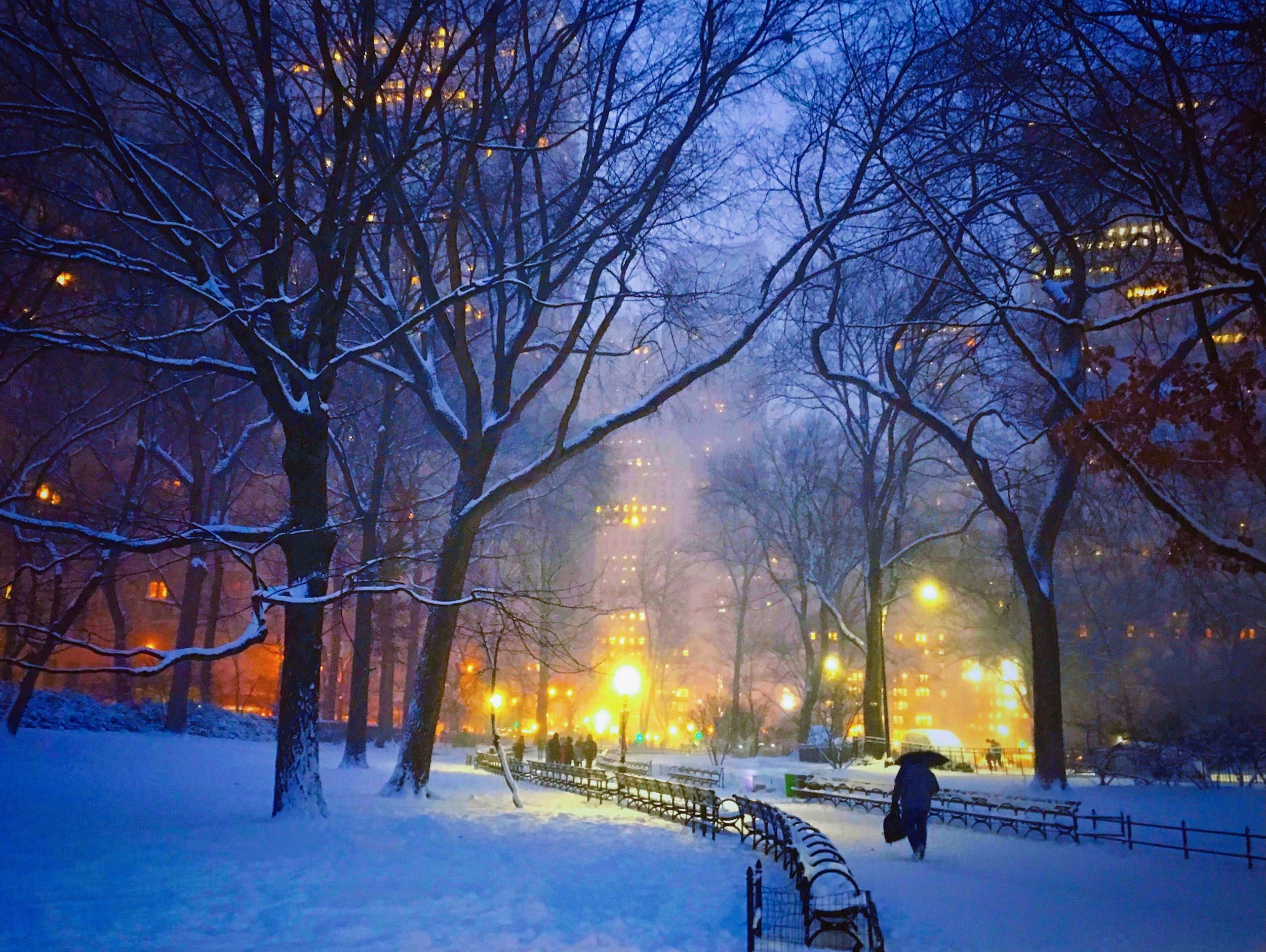 The Lit Path