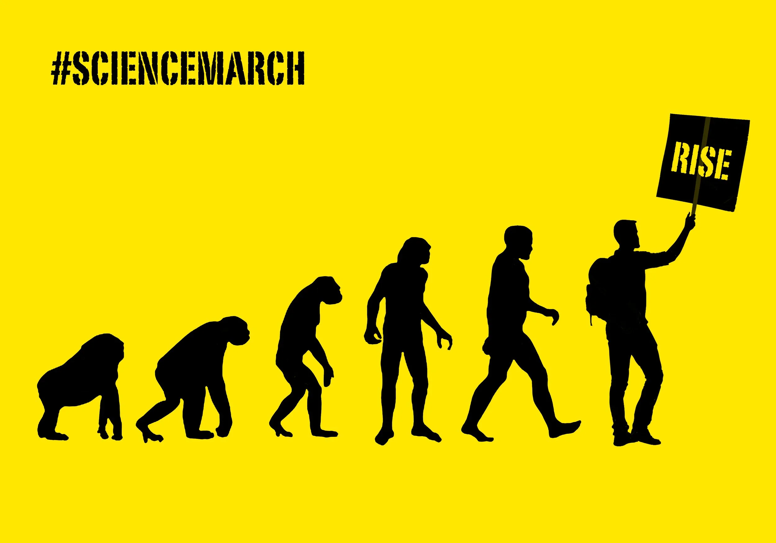 volution silhouette illustration showing progression from ape to human, with the final figure holding a "RISE" sign, text reads "#ScienceMarch" — protest graphic on yellow background