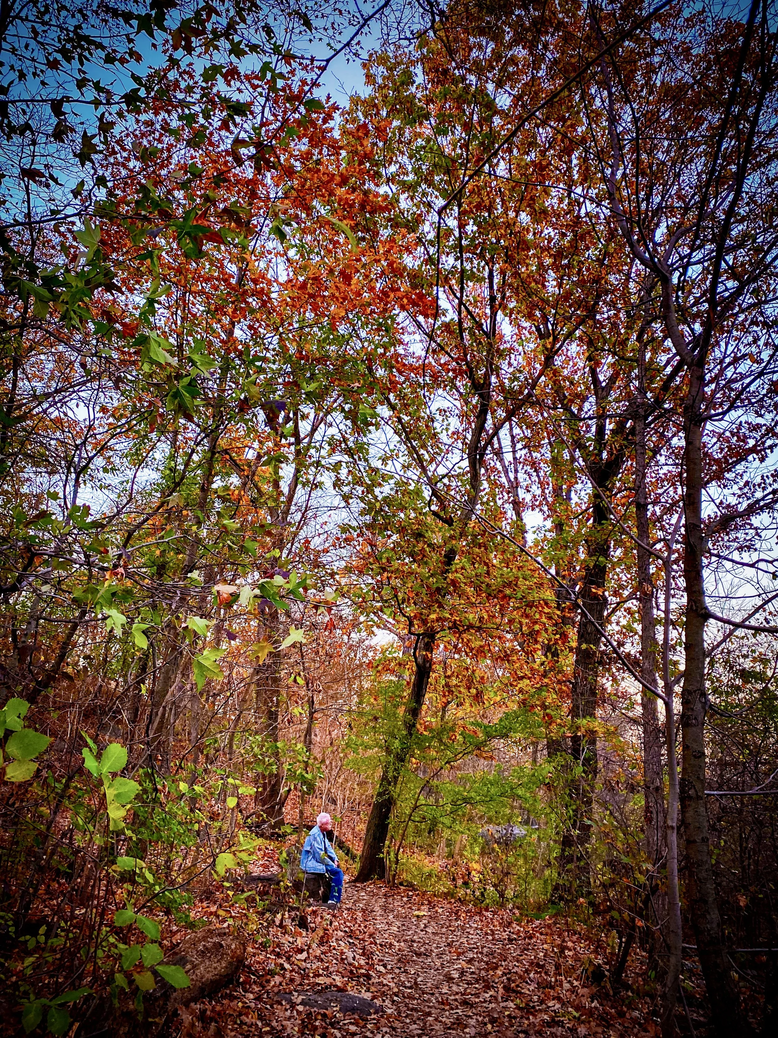 Late Season