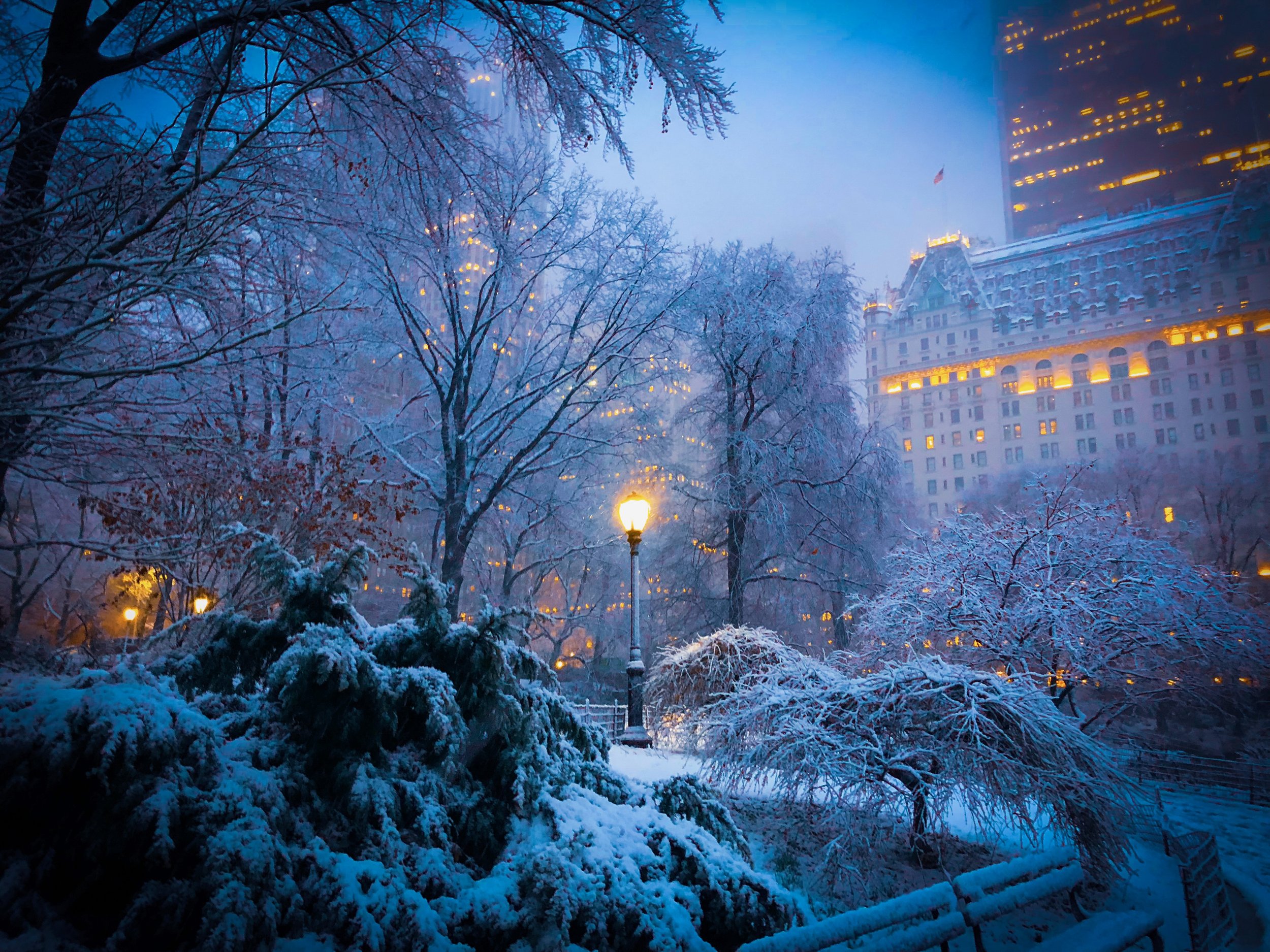 Warm Light, Cold Night.