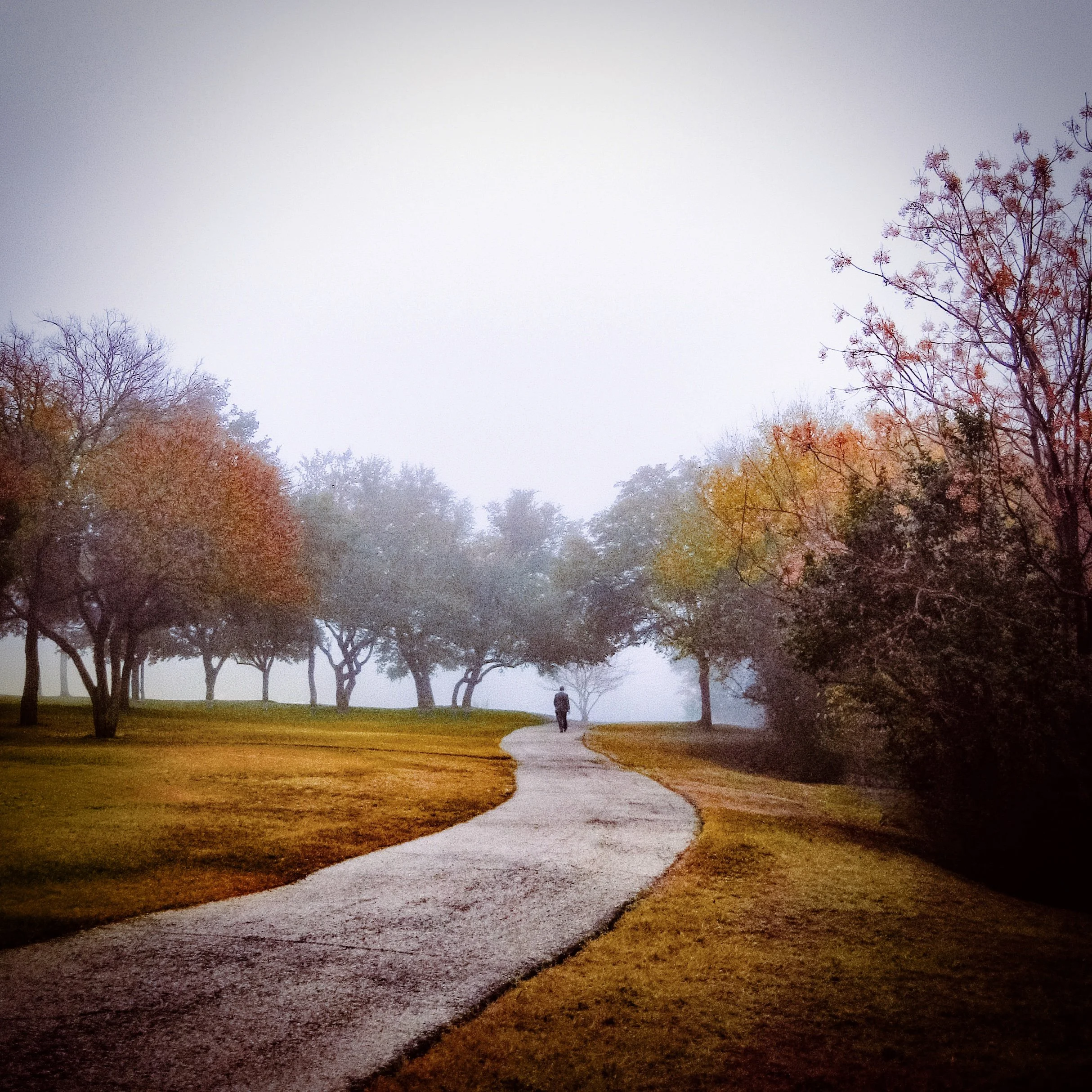 Into the Fog