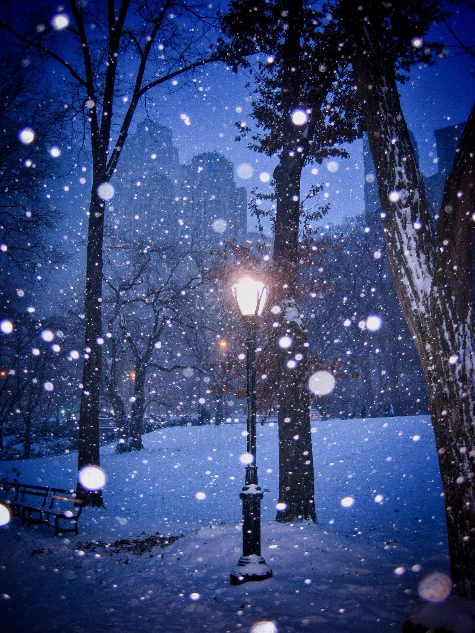 Lamplight in Falling Snow