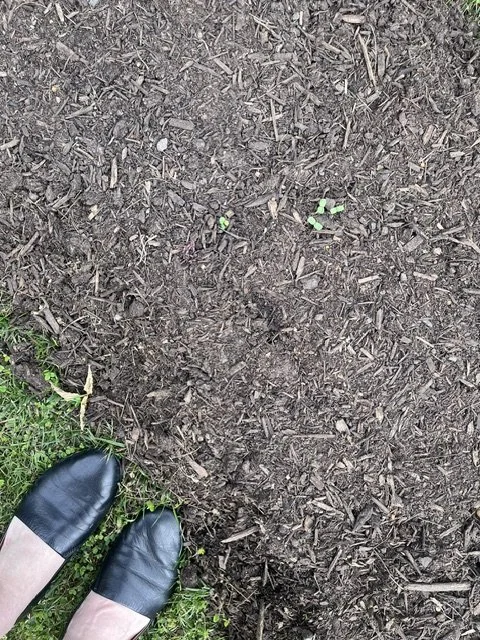image1 (7).jpeg