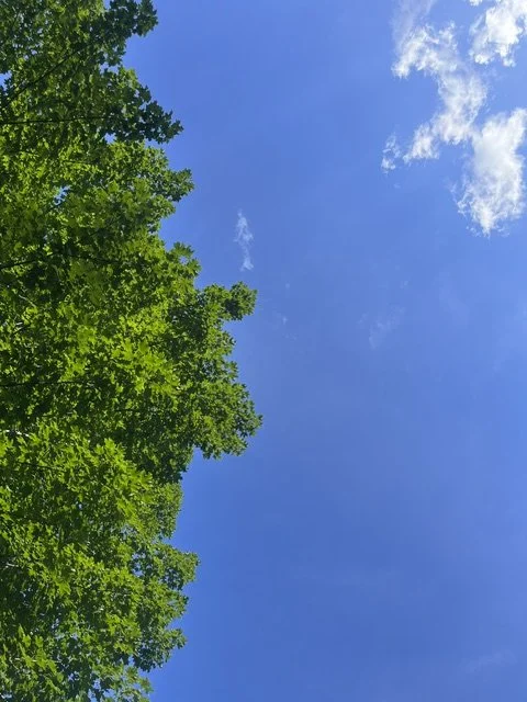 image1 (8).jpeg