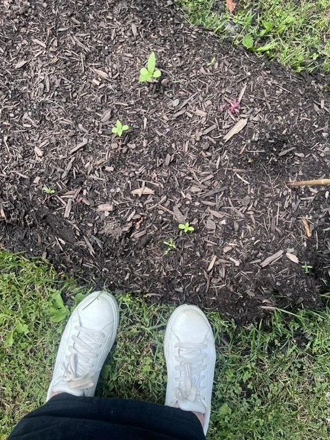 image4 (1).jpeg