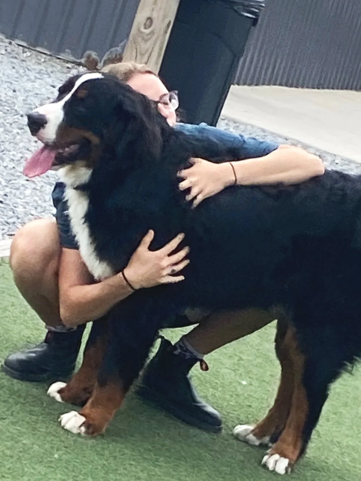 dogs and i.jpg