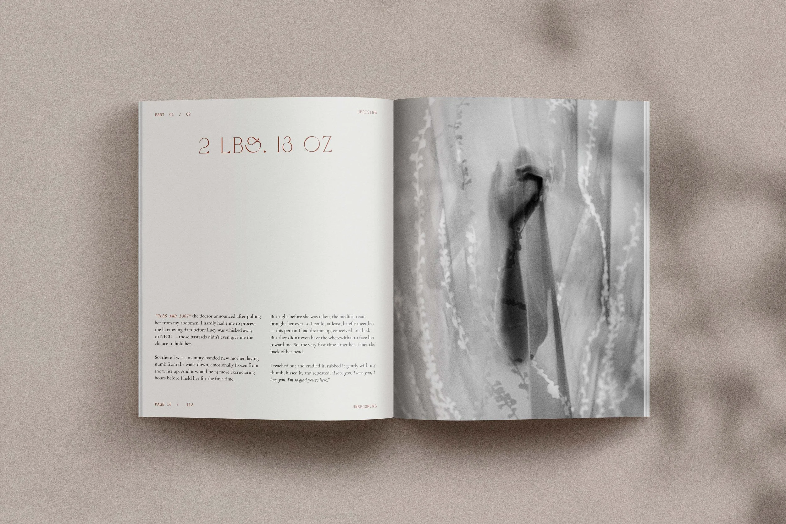 Unbecoming_Mock Up_1 Copy 06.jpg