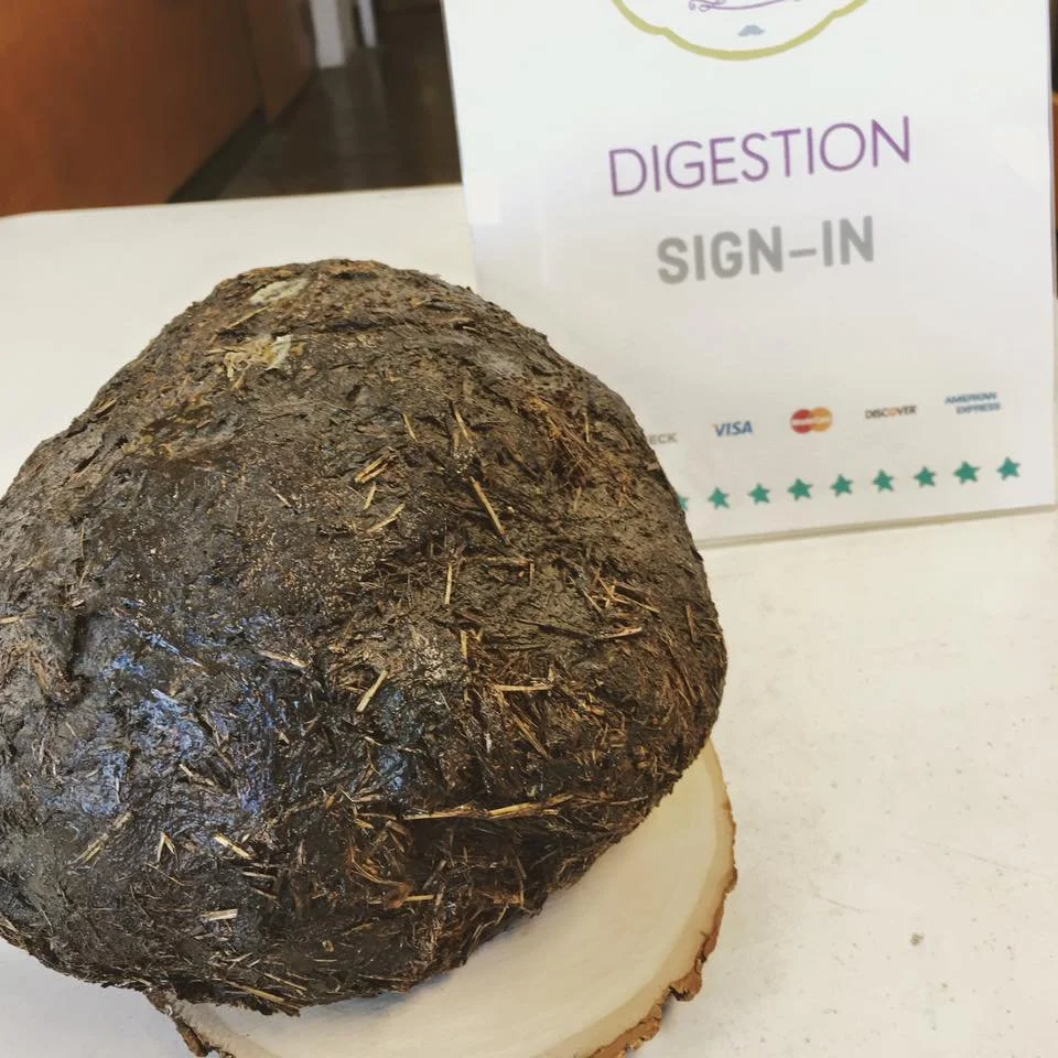 The zoo loaned us elephant poop. 