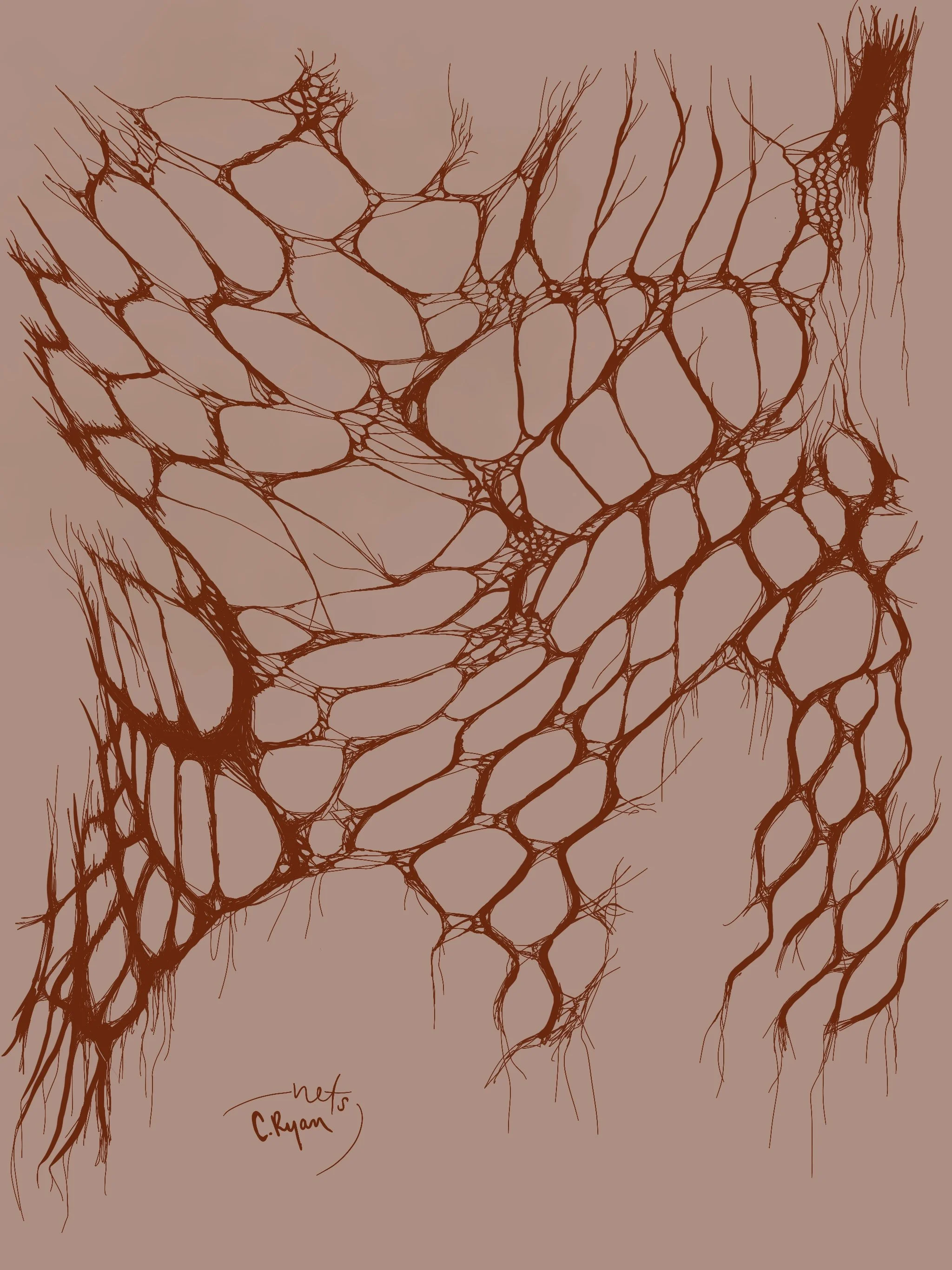 Untitled_Artwork.jpeg