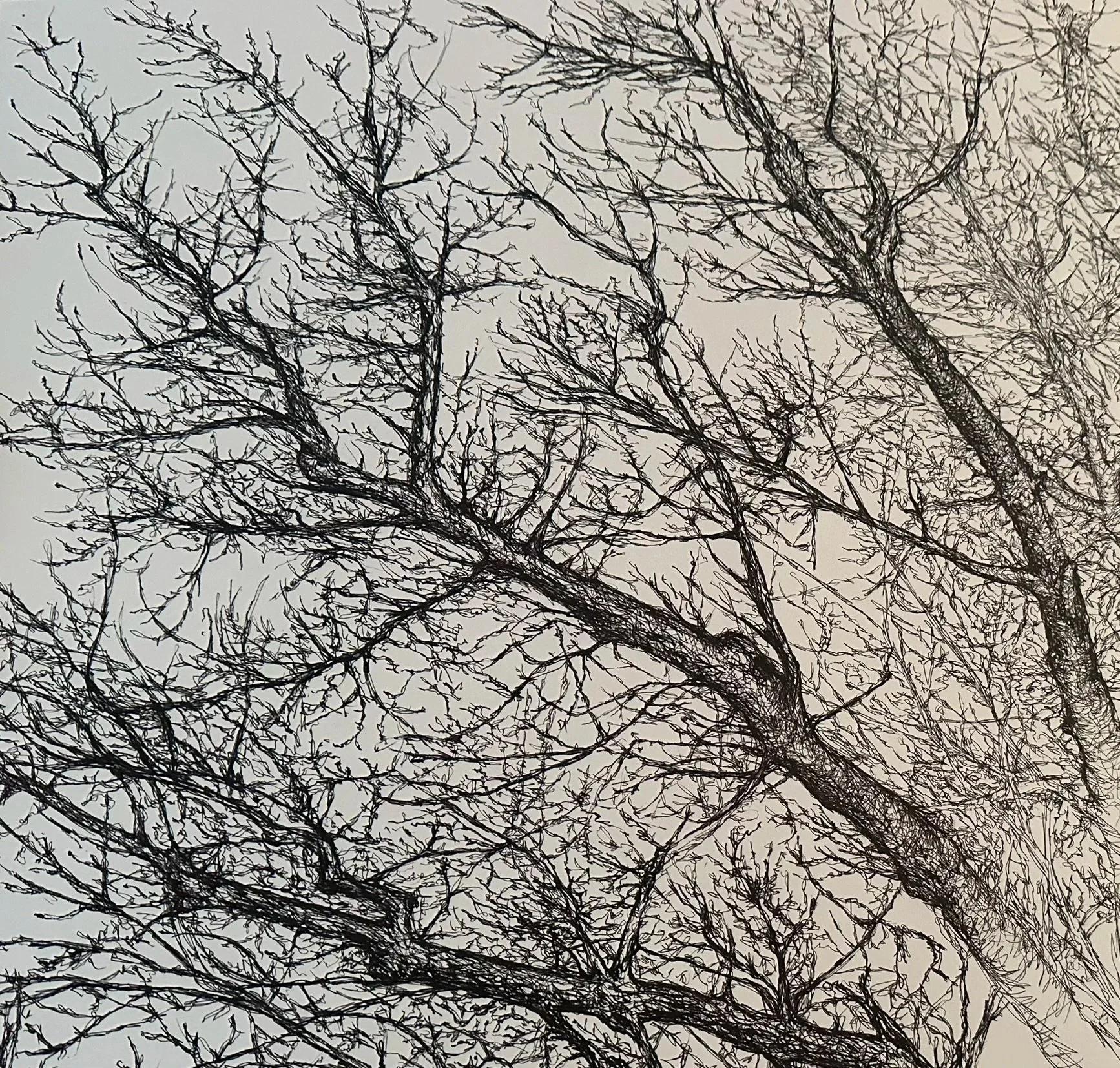 Drawings