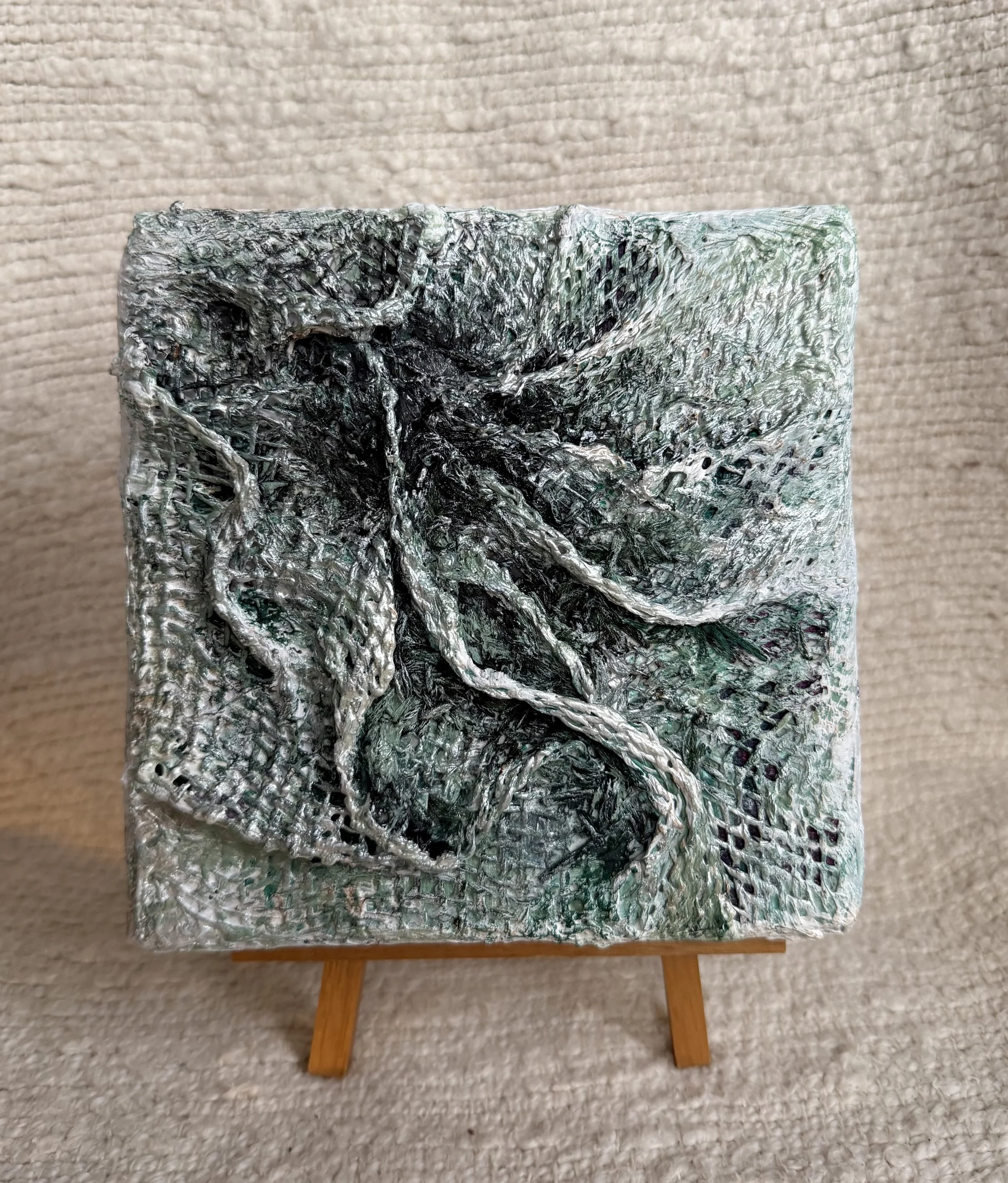 Mini moss, 6x6