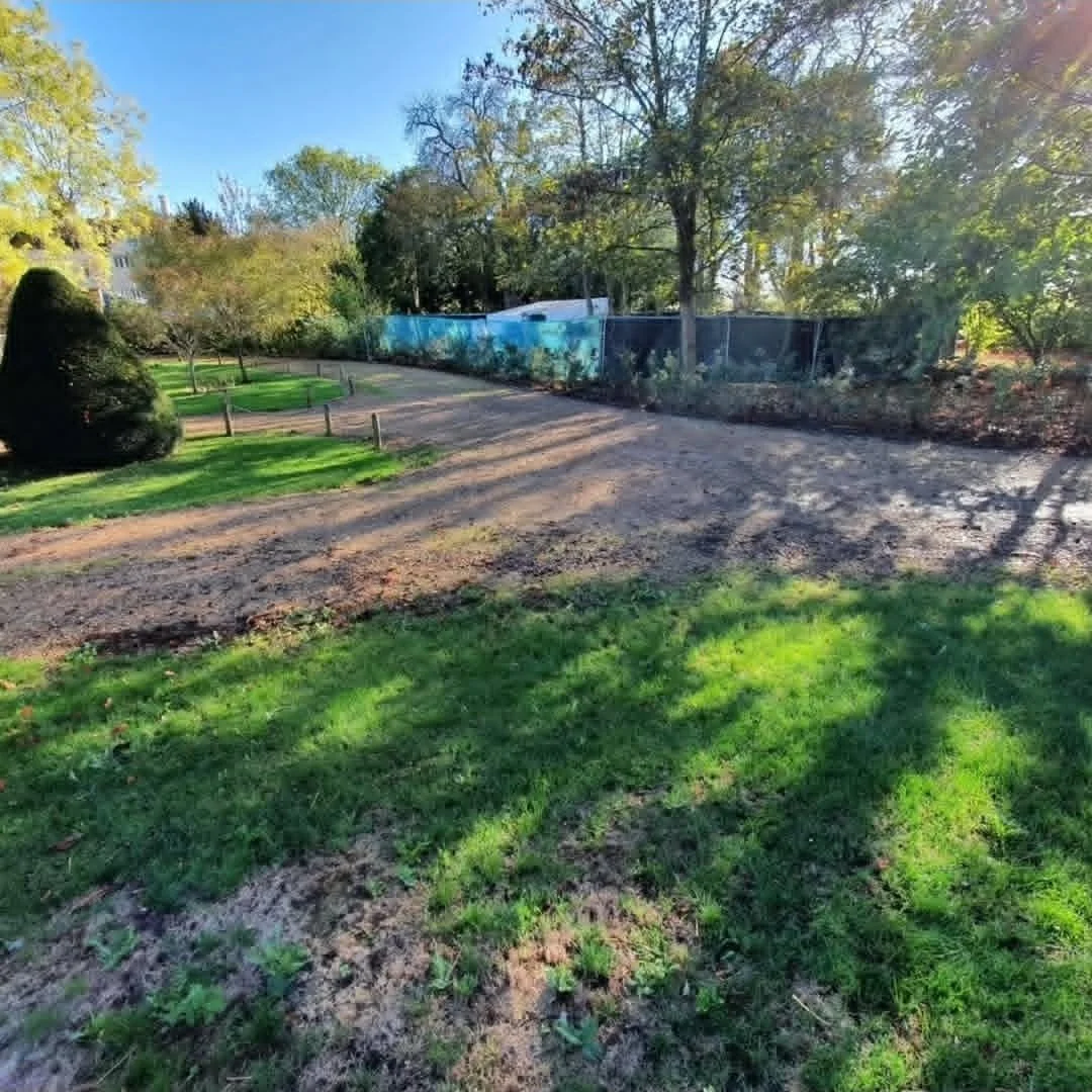 A park with green grass and a dirt pathway, surrounded by trees and shrubbery, during daytime with sunlight.