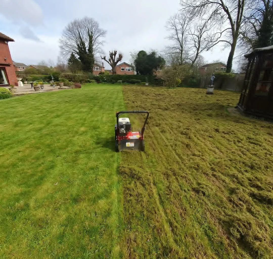 Lawn being mowed with a power tiller in a backyard garden on a cloudy day.