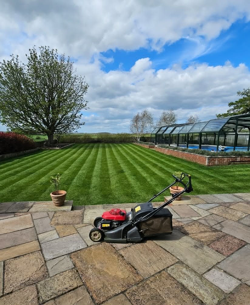 Lawn mower on a paved patio overlooking a freshly mowed backyard with a striped grass pattern, potted plants, a large tree, and a covered pool enclosure under a partly cloudy sky.
