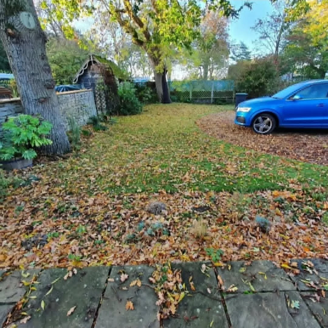 A backyard with a grassy area covered in fallen leaves, surrounded by trees and a stone path, with a blue sedan parked on the right and a small wooden shed in the background.