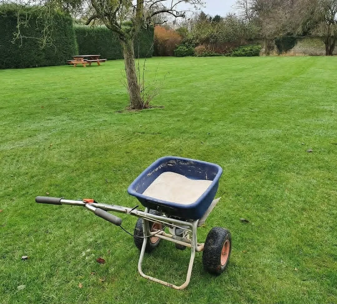 A wheelbarrow filled with sand on a lush green lawn, with a tree and picnic table in the background.