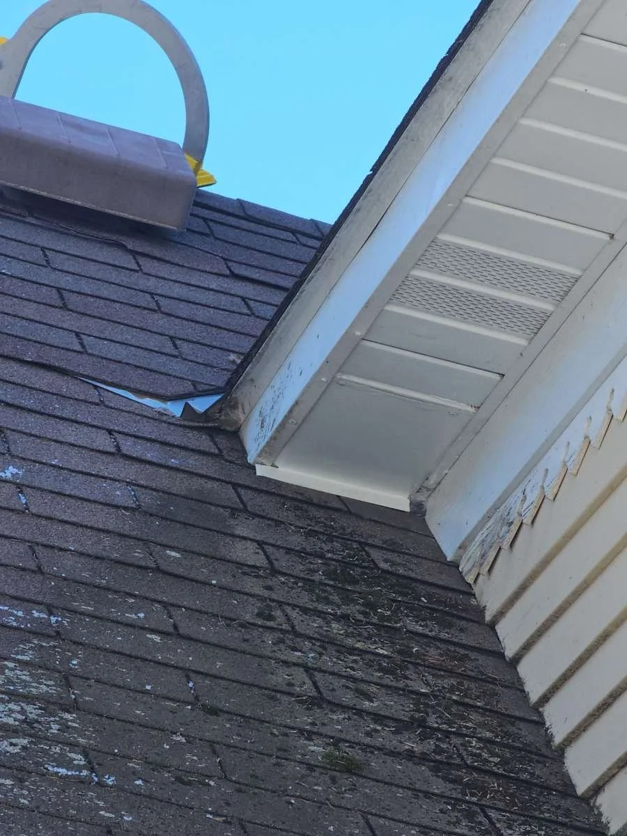 soffit junction and fascia exclusion done with coil stock metal