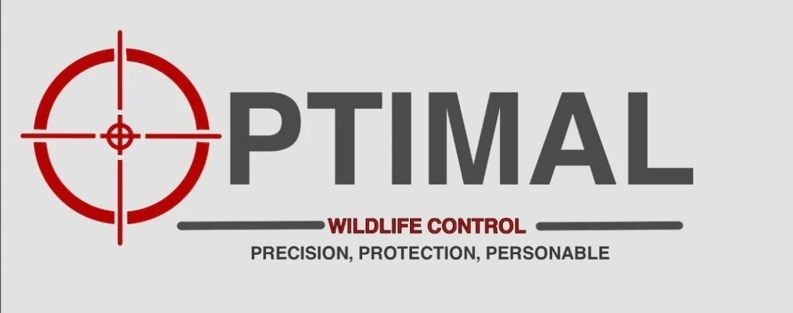 Your Site Title