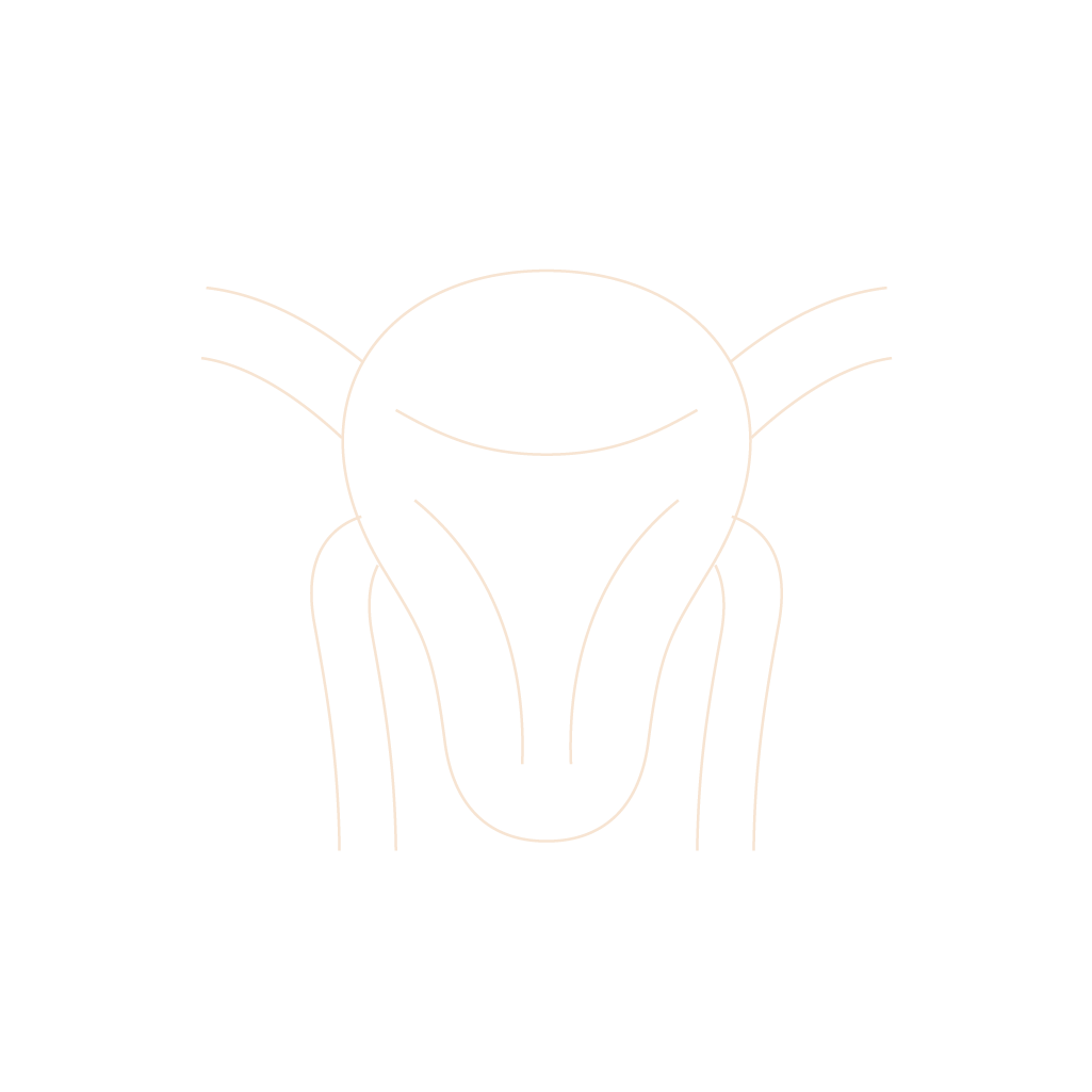 Line art illustration of a person riding a bicycle, with motion lines indicating speed, against a black background.