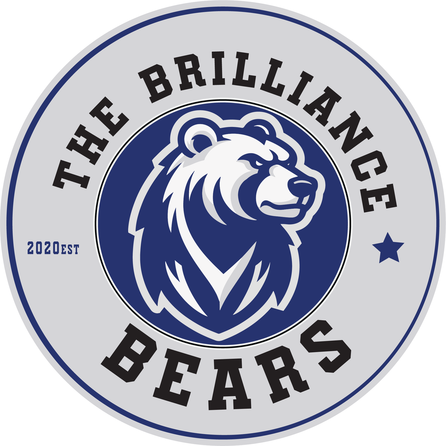 The Brilliance School